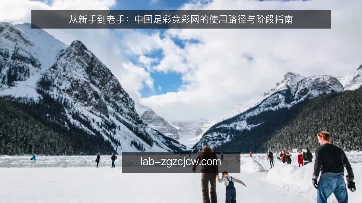 从新手到老手:中国足彩竞彩网的使用路径与阶段指南