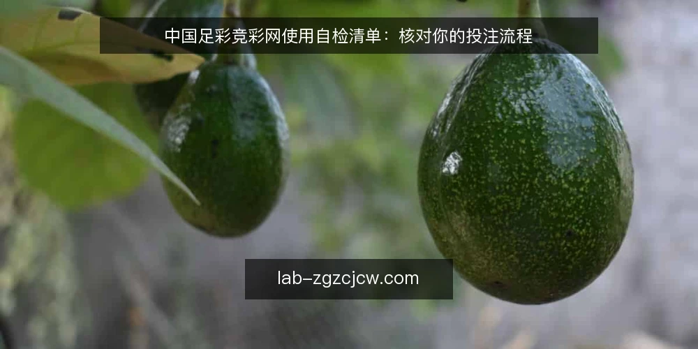 中国足彩竞彩网使用自检清单：核对你的投注流程 — 为什么现在需要做一次流程自检 配图