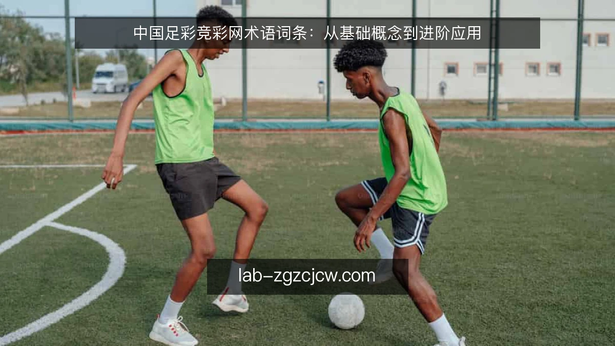中国足彩竞彩网术语词条:从基础概念到进阶应用