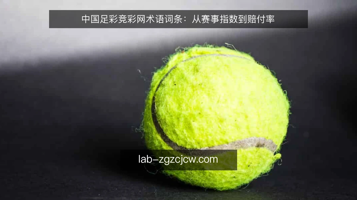 中国足彩竞彩网术语词条：从赛事指数到赔付率