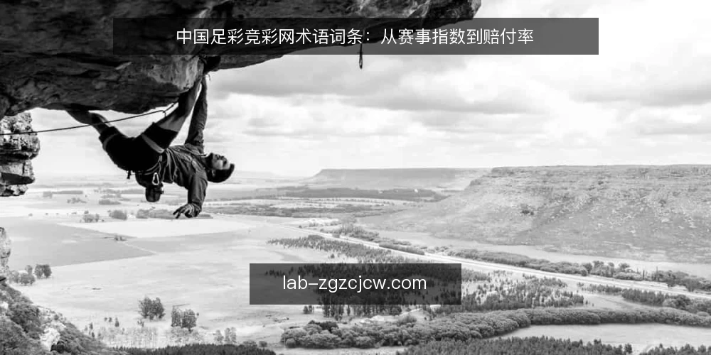 中国足彩竞彩网术语词条：从赛事指数到赔付率 — 信号观察：赛事指数与盘口术语 配图