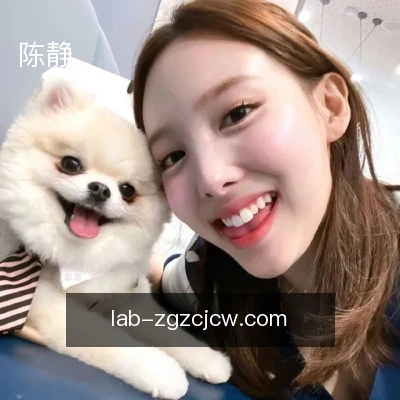 陈静